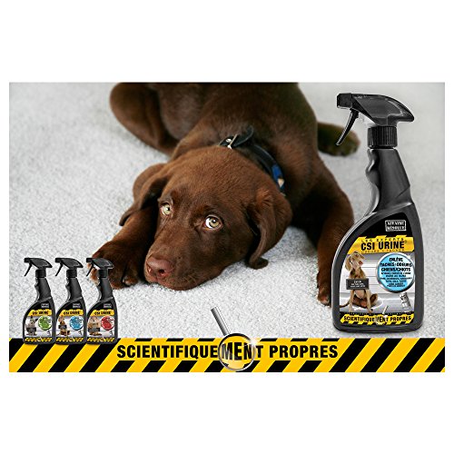 Nettoyant Enzymatique pour Chien - CSI Urine - 500ml