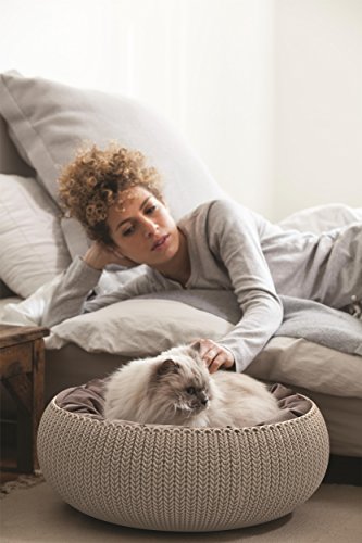 Panier Cozy Pet Bed avec Coussin pour Chats - Curver - Taupe