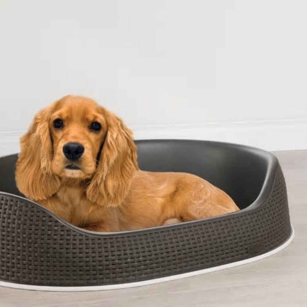 Panier Curver Noir Pour Chien Et Chat Taille M L 87 X L 69 X H 19 Cm
