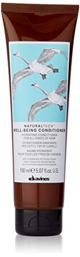 Davines Natural Tech Well Being Conditio