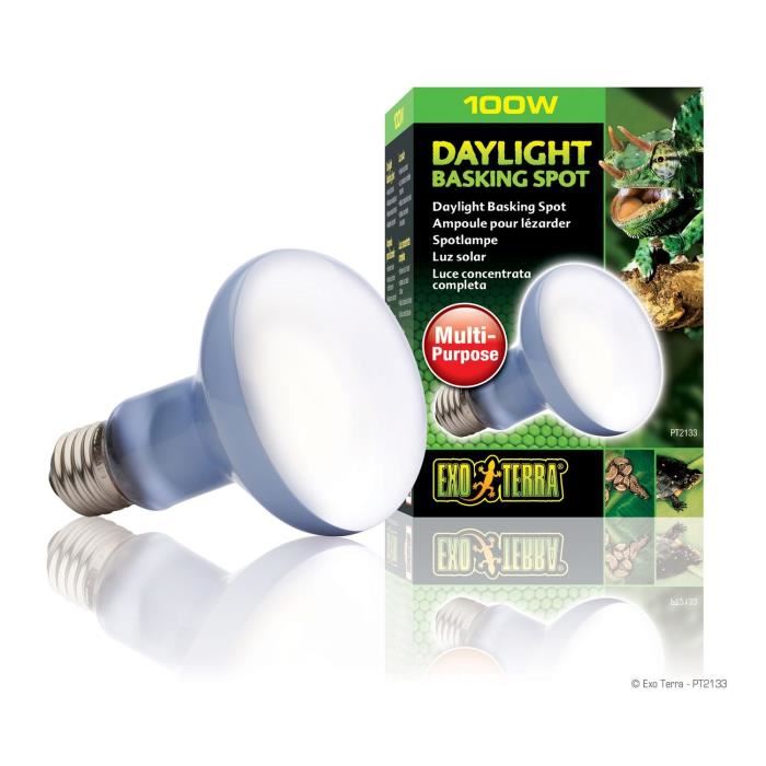 Ampoule Daylight Basking Spot - Exo Terra - 100W