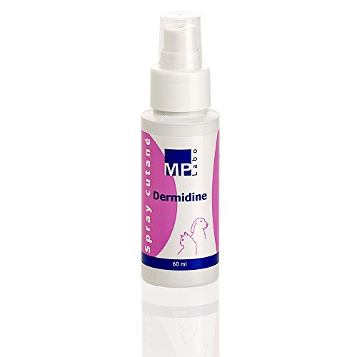 Mp Labo Dermidine Spray Antiseptique Cutane 60ml