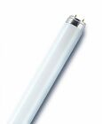 Tube fluorescent OSRAM G13 58 W blanc neutre forme de tube 1 pc(s)