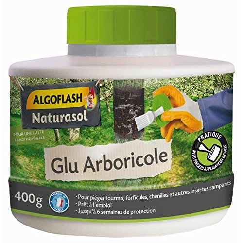 Glu Arboricole Pot 400 G Avec Pinceau Applicateur Integre
