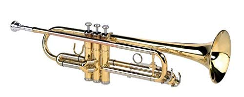 Alysee Trompette Sib vernie TR 6333