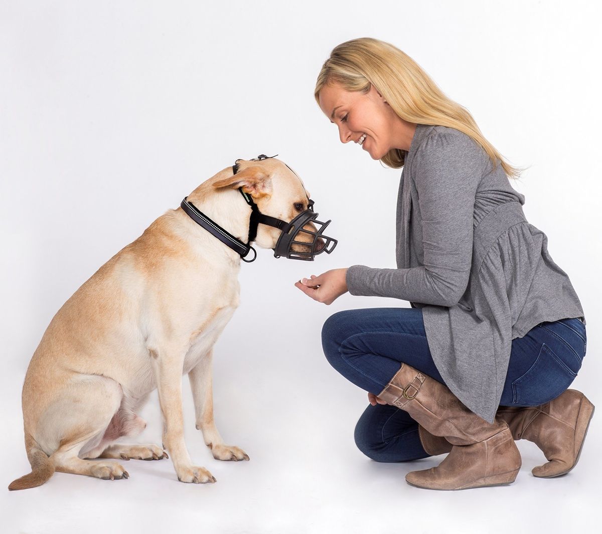 MuseliÈre Baskerville Ultra 1 : Bichon Frise, Jack Russel, Caniche Toy