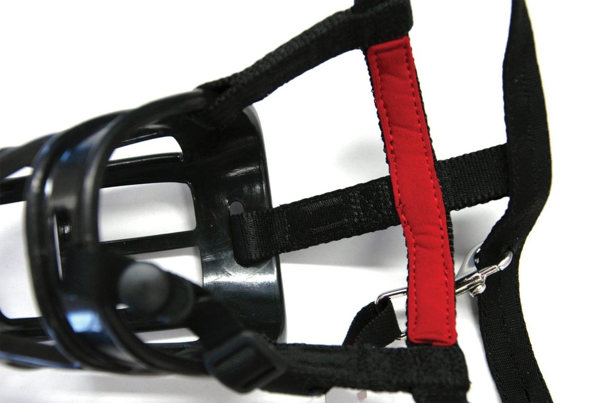 MuseliÈre Baskerville Ultra 1 : Bichon Frise, Jack Russel, Caniche Toy