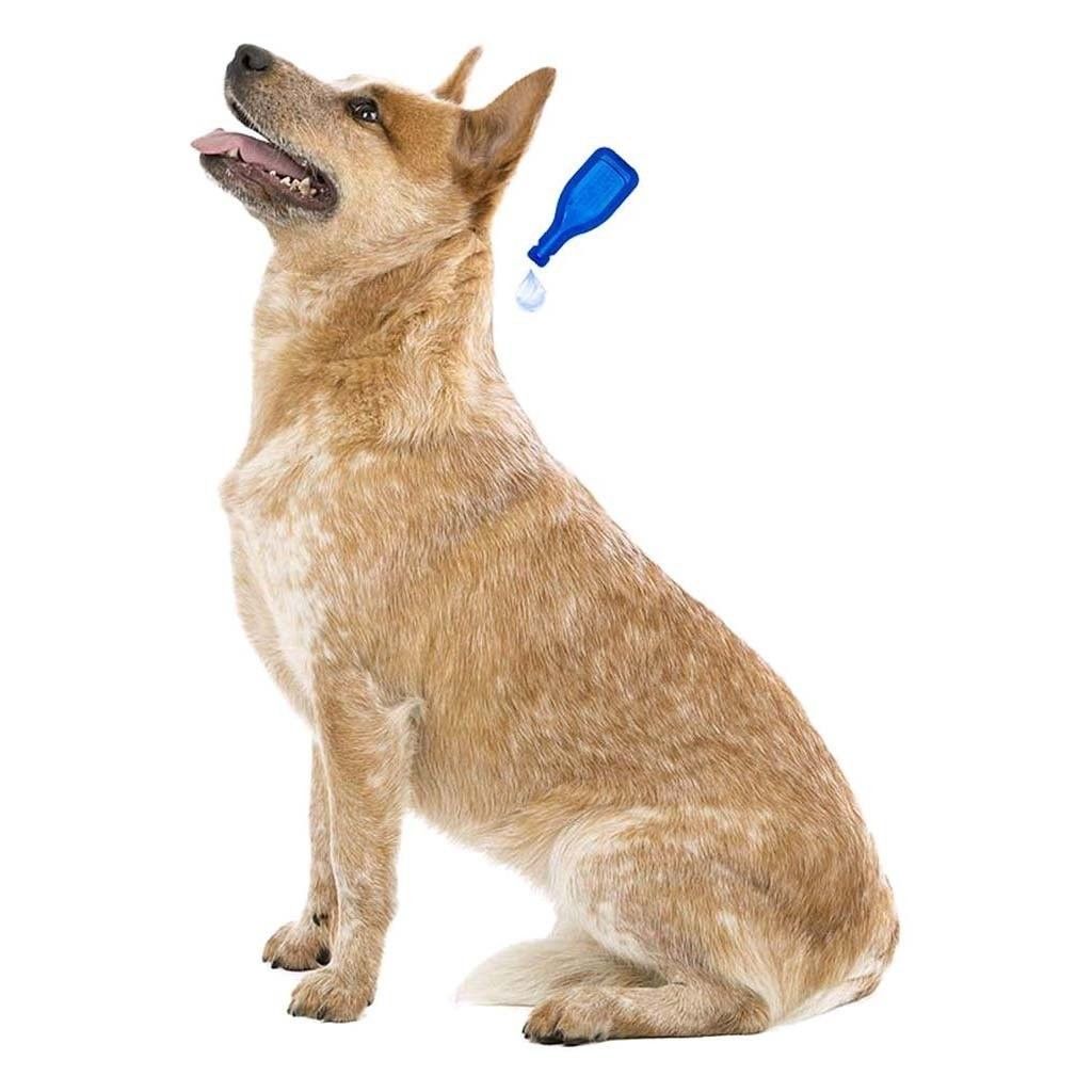 Parapharmacie En Ligne Veterinaire Produits Anti-parasites Pour Animaux Beaphar Fiprotec Combo Solution Spot-on Chiens 10-20 Kg Pipettes X 3
