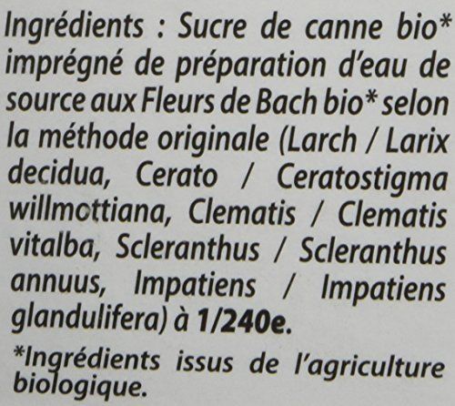 Biofloral Lutin Creatif 33 flacon granules 10ml