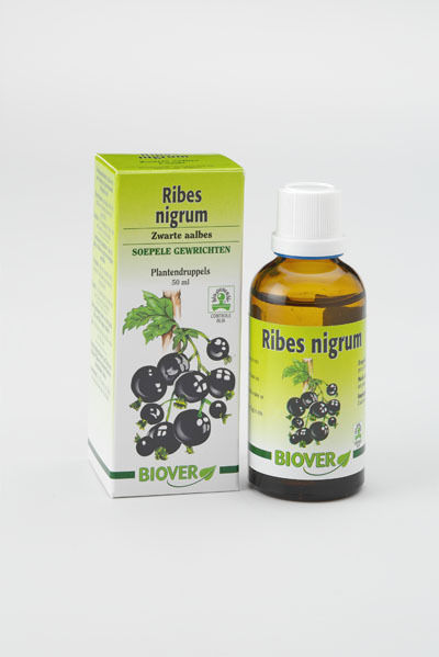 Cassis - Ribes Nigrum Bio - Teinture Mere Bio Biover