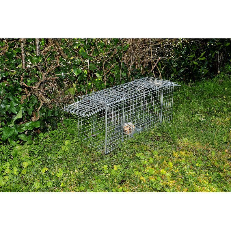 Cage a nuisibles double entree grand modele Gris