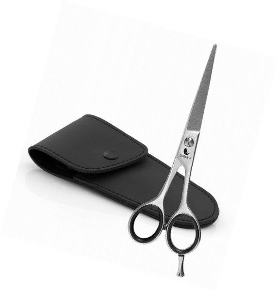 Ciseaux de coiffure Pamara Premium, pour coiffeur sculpteur | ciseaux 5,5 pouces