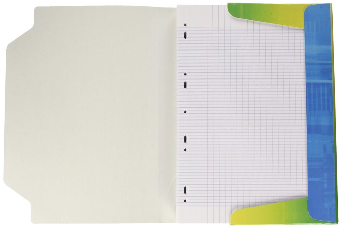 Claire Fontaine Feuille Grand Carreaux 300200