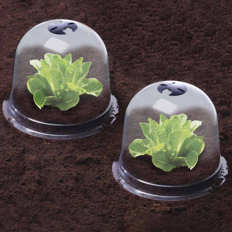 Cloches A Salades Plastique - Lot De 6