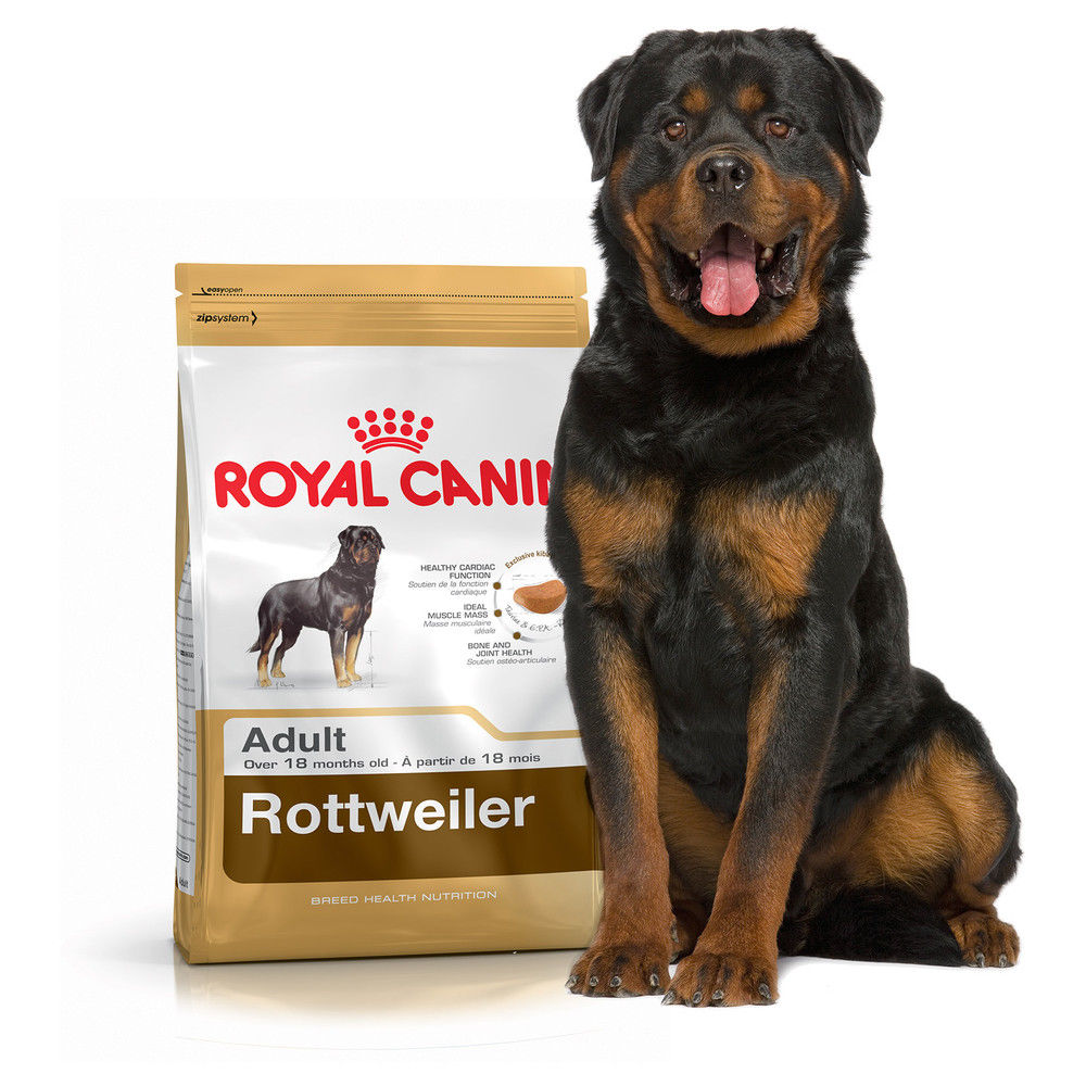 Croquettes Royal Canin Rottweiler 26 Adulte Sac 12 Kg Grand Chien