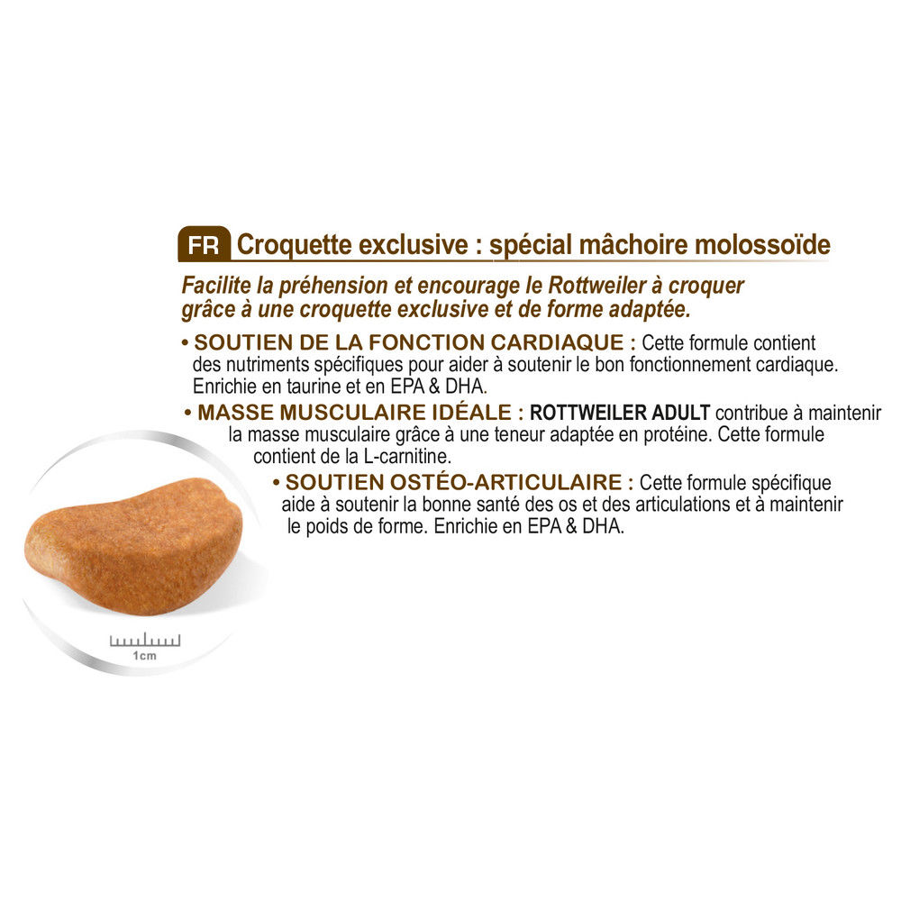 Croquettes Royal Canin Rottweiler 26 Adulte Sac 12 Kg Grand Chien