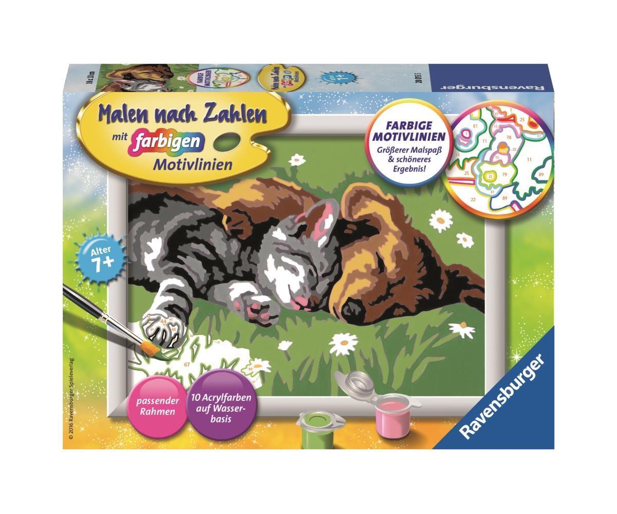 Ravensburger 28015, Color By Numbers Kit, 1 Pages, Garcon-fille, 7 Annee(s), 13 Cm, 18 Cm