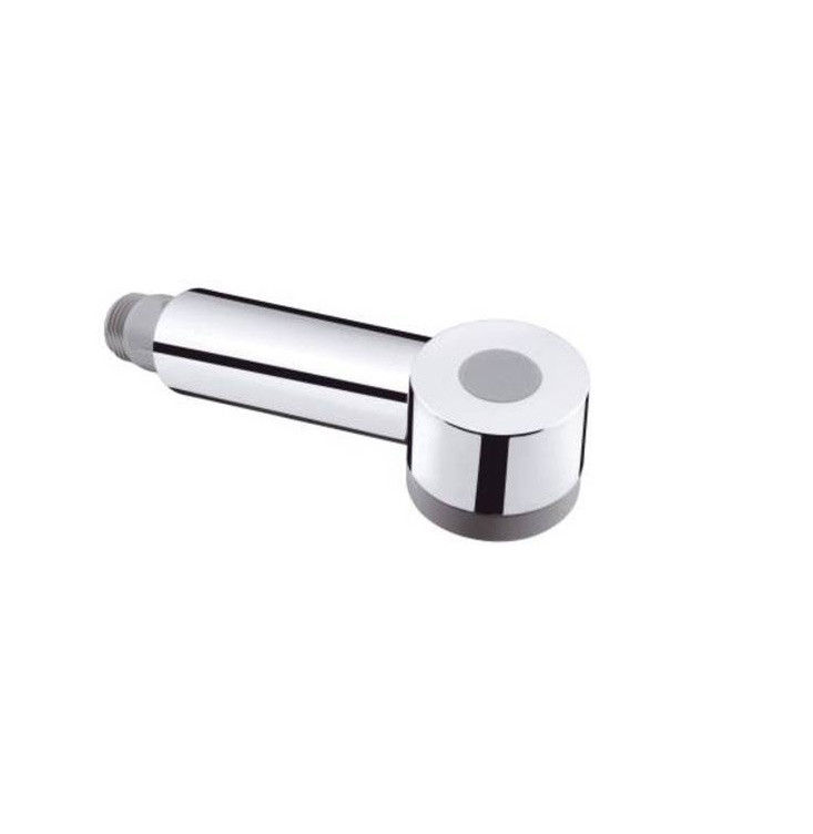 Douchette extractible pour mitigeur Talis S cuisine chrome - HANSGROHE