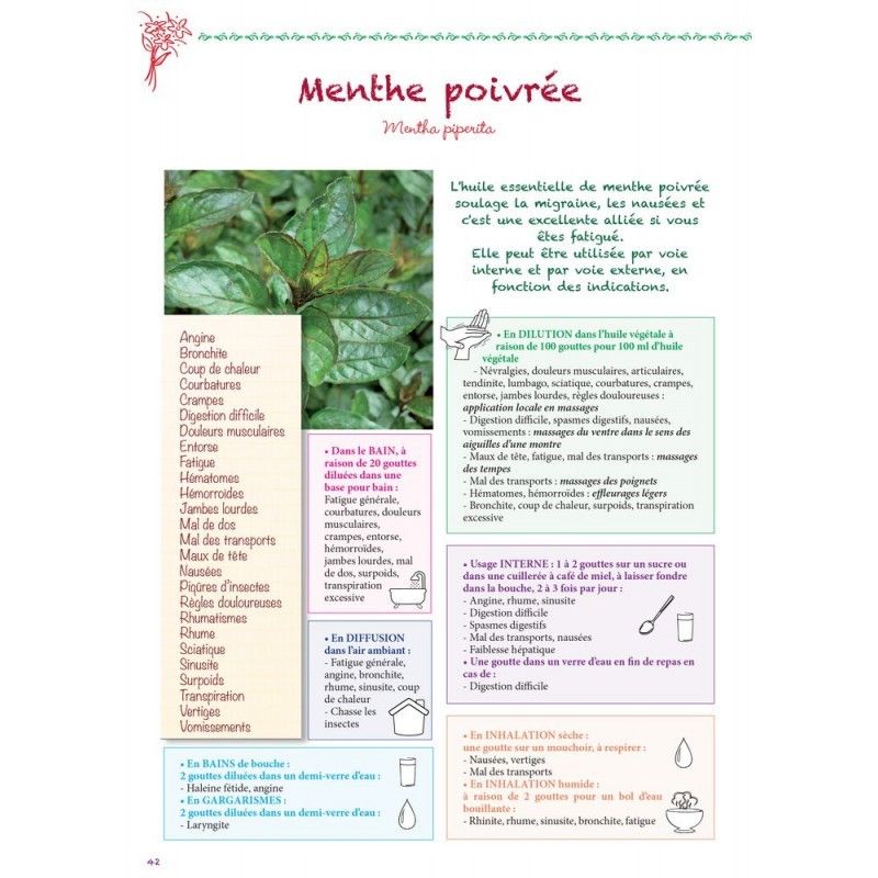 Dr. Valnet Dr Valnet Huile Essentielle Bio Menthe Poivree 10ml