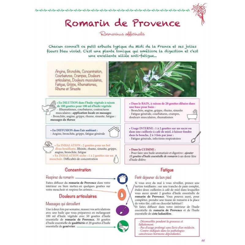 Docteur Valnet Romarin Provence Huile Essentielle 10ml Docteur Valnet