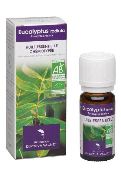 Eucalyptus Radiata Bio