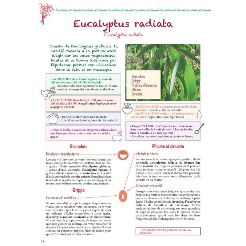 Eucalyptus Radiata Bio