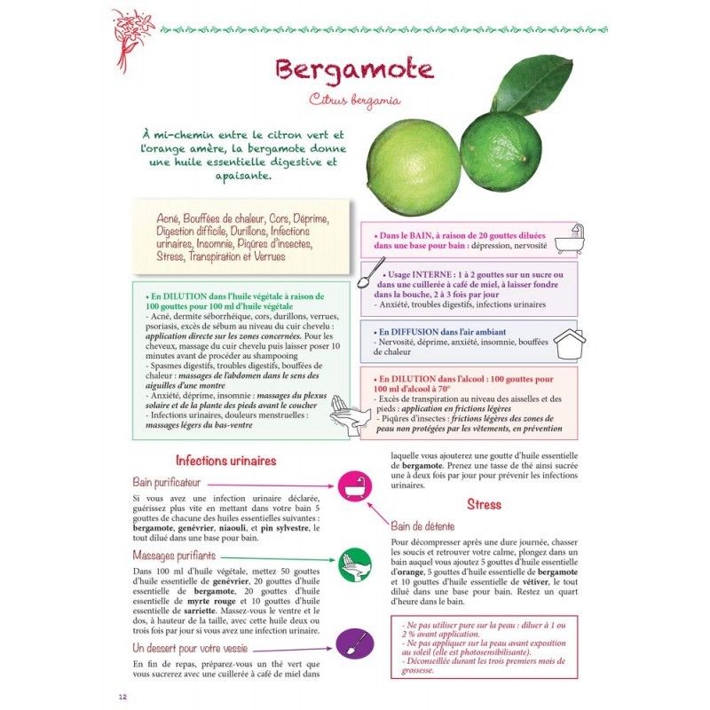 Bergamote Bio