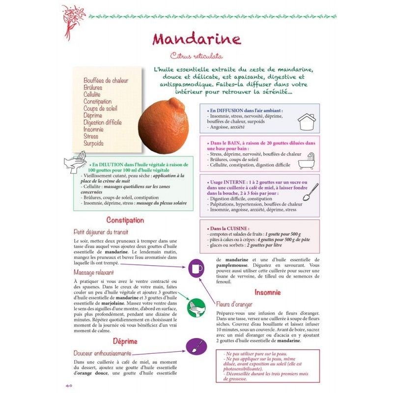 Mandarine Bio