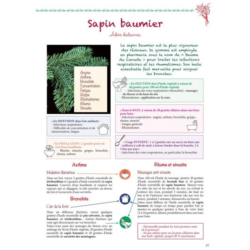 Sapin Baumier Bio