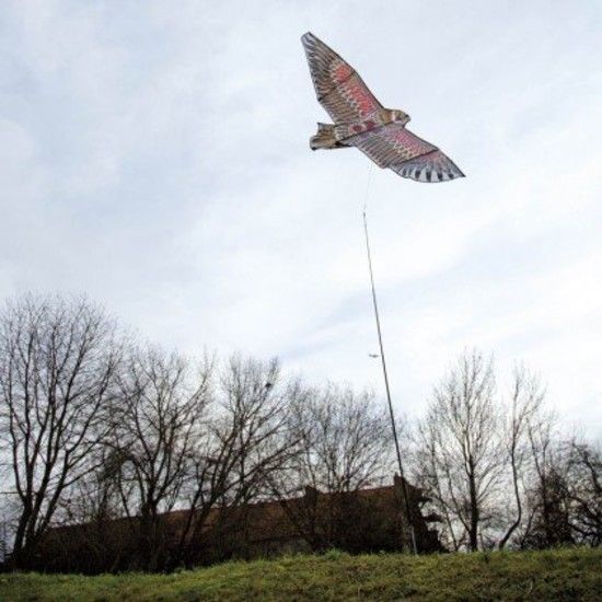 Effaroucheur Rapace Volant + Mat - Ribimex