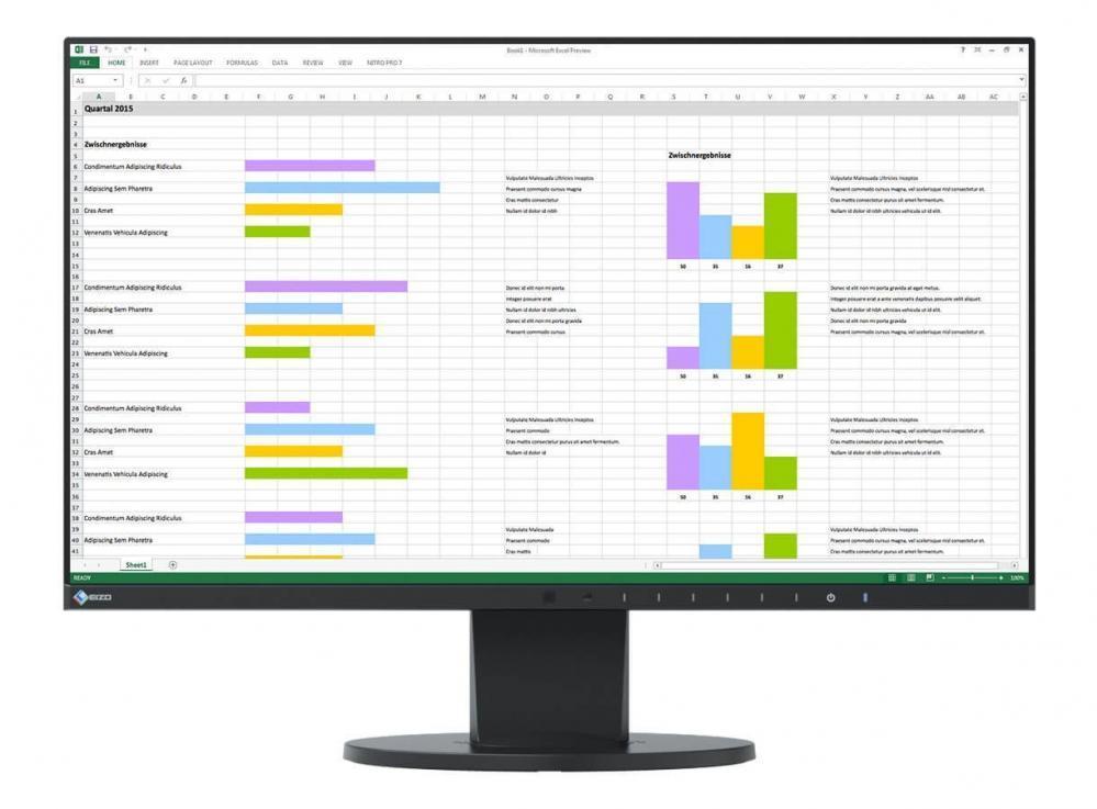 Ecran Pc Eizo Flexscan Ev2450 - 24 Pouces - Full Hd - Ips - Noir