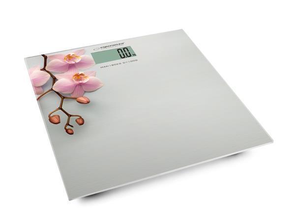 Esperanza Ebs010 Pese - Orchidee Ebs010 - 5901299917213