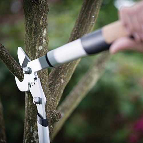 Coupe-branches A Cremaillere Quantum? M A Lame Franche Fiskars 112330