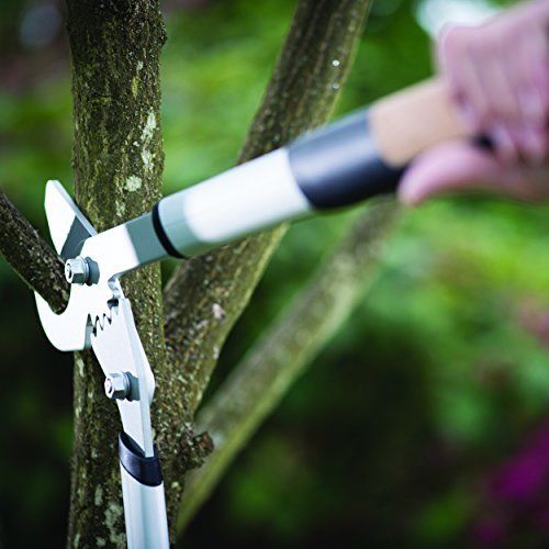 Coupe-branches A Cremaillere Quantum? M A Lame Franche Fiskars 112330
