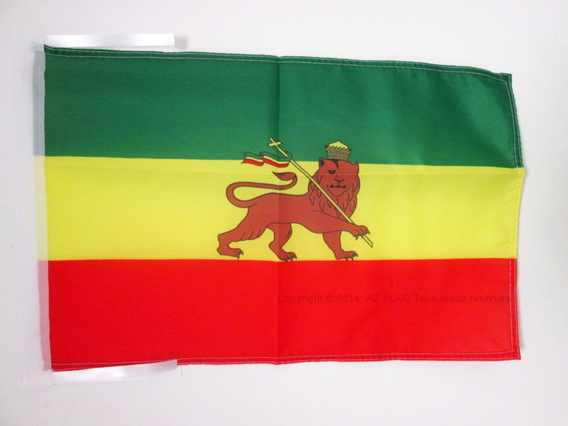 Drapeau Ethiopie Avec Lion 45x30cm - Pav...