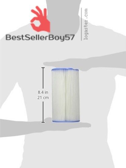 Cartouche De Filtration A Pour Piscines Intex