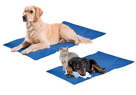 Tapis pour chien Colling Pad Fresk Tailles : S