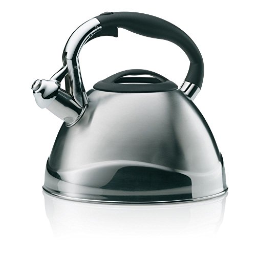 Bouilloire Sifflante Varus 3 L Gris