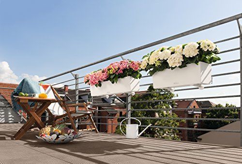 Lechuza Jardiniere Balconera Color 80 79 X 19 X 19 Cm 12 L Kit Complet Blanc