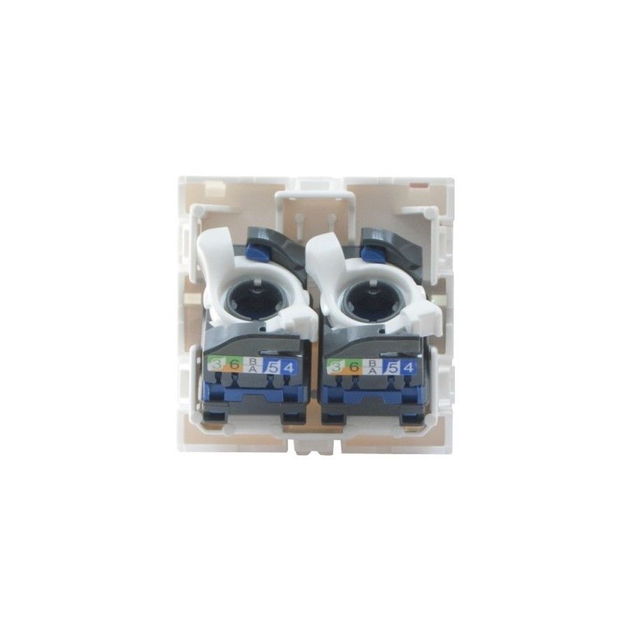 Prise Rj45 - Legrand - 2xrj 45 Prog Mosaic - Categorie 6 - Ftp - Inclinee 45°
