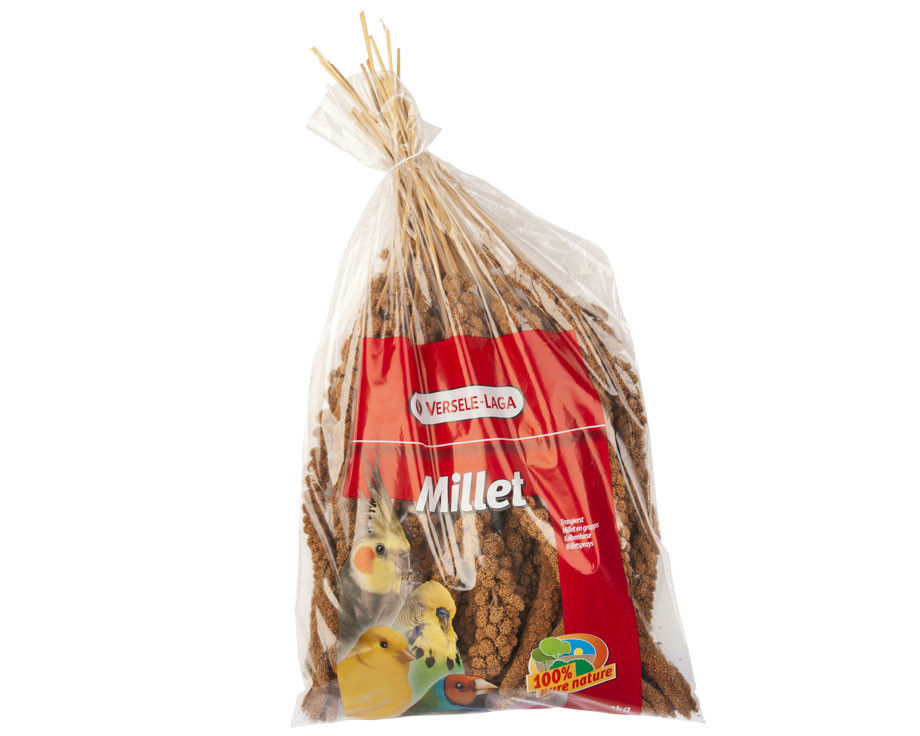Millet En Grappes Versele Laga Pour Oiseaux Saca¦