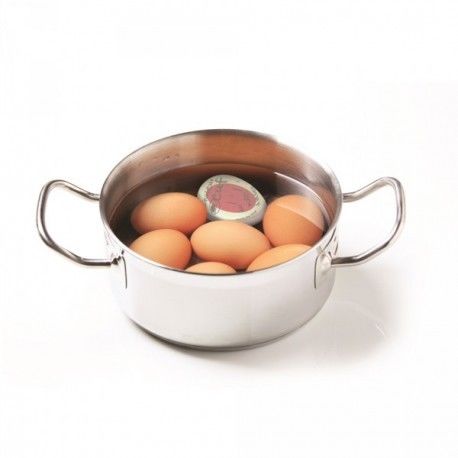 Minuteur - Saveur & Degustation - Oeuf - Matiere Plastique - 4 Coloris Assortis