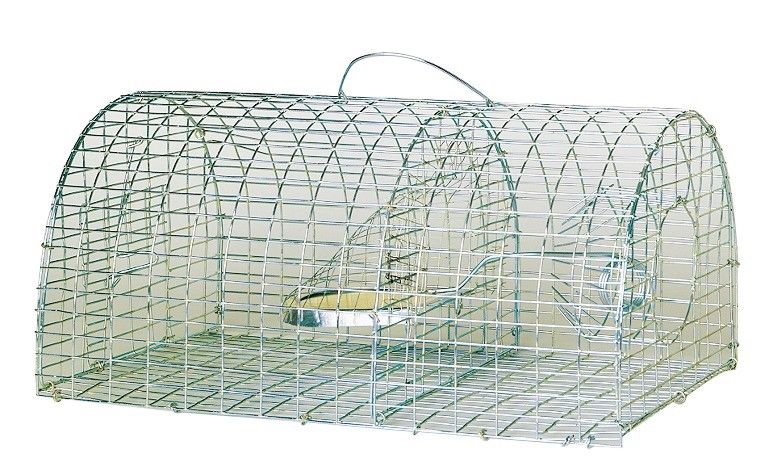 Apiculture.net - Materiel Apicole Francais Nasse A Rats