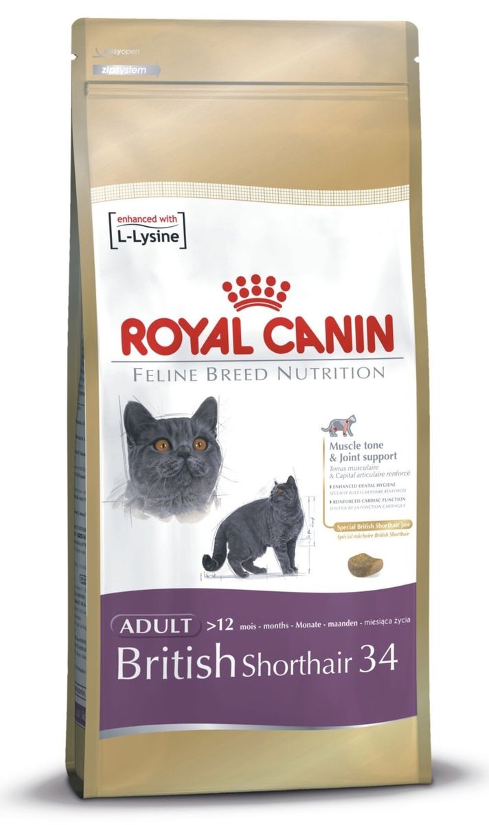 Royal Canin British Shorthair Adult 40