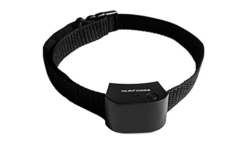 Collier Anti Fugue Numaxes Canifugue Small Noir