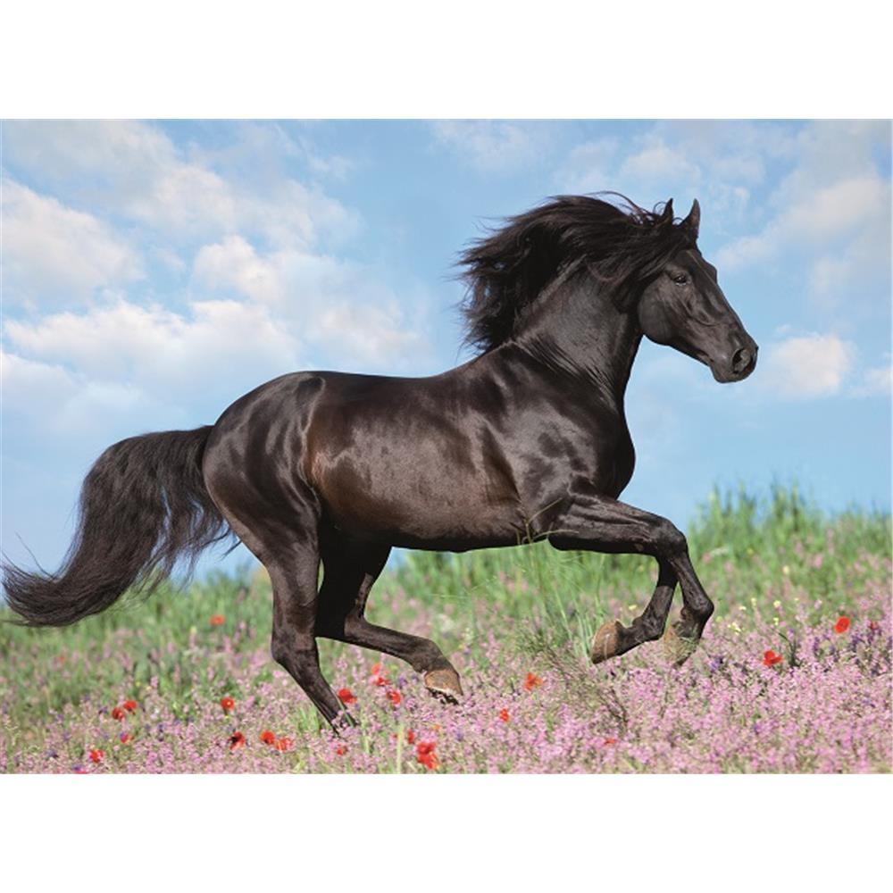 Puzzle 200 pieces Etalon noir - Ravensburger