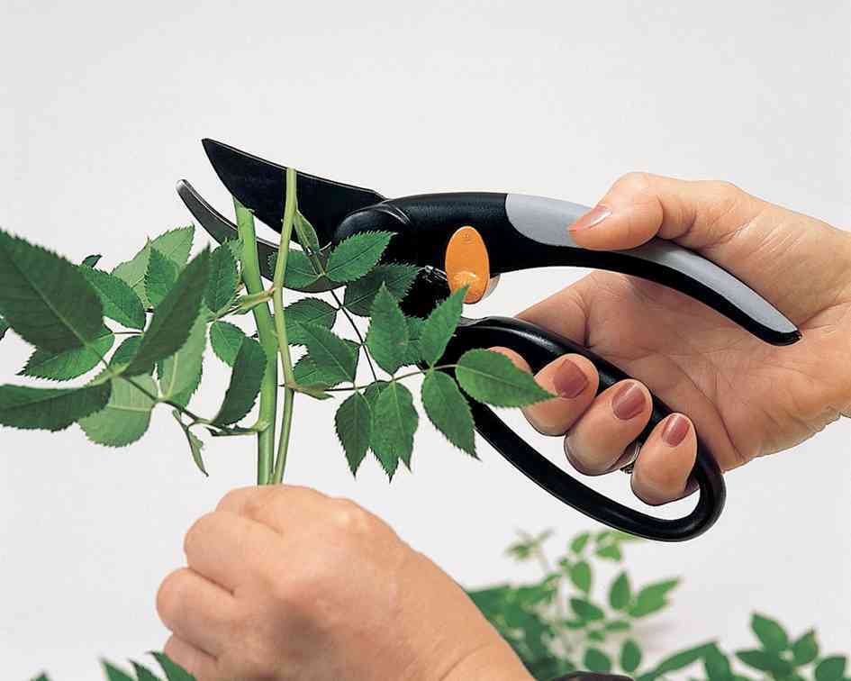 Secateur A Lame Franche Fiskars 1001534 Elegance P44 - Ø20mm