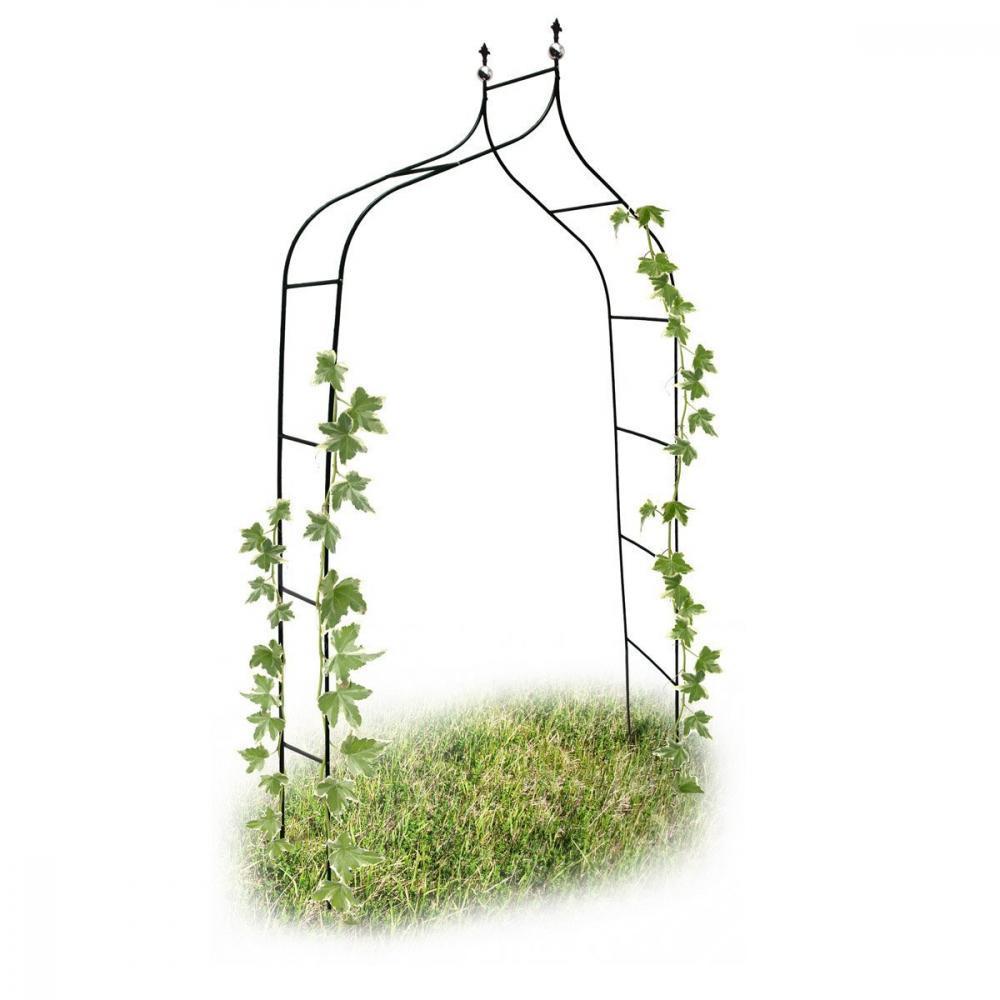 Relaxdays Arche de jardin decoration pour le jardin arche plantes grimpantes, m
