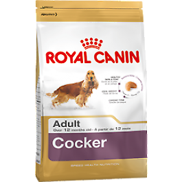 Royal Canin Cocker Adult Croquettes Pour Chien 12kg