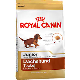 Royal Canin Breed Dachshund Junior pour chiot 3 x 15 kg